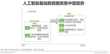 2019年中國人工智能基礎數據服務與行業(yè)應用系統(tǒng)集成服務白皮書